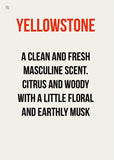 Rescent It Car Spray